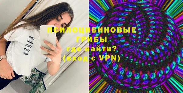 прущие крисы Арсеньев