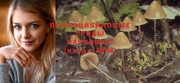 прущие крисы Арсеньев