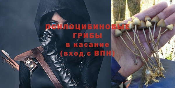 прущие крисы Арсеньев