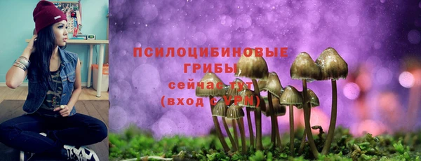 эйфоретик Армянск