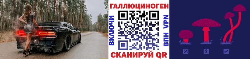 OMG tor  Светлый  Галлюциногенные грибы MAGIC MUSHROOMS 